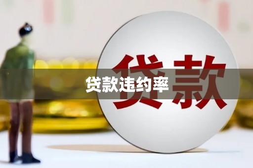 南州贷款违约率