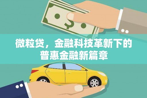 南州微粒贷，金融科技革新下的普惠金融新篇章