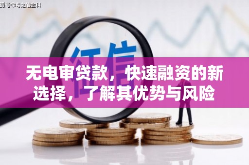 南州无电审贷款，快速融资的新选择，了解其优势与风险