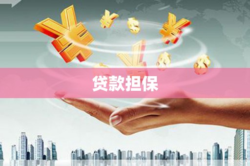 南州贷款担保