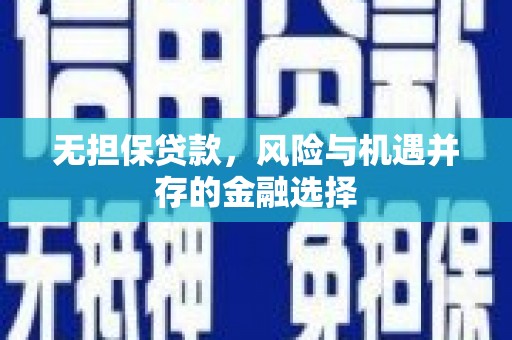 南州无担保贷款，风险与机遇并存的金融选择
