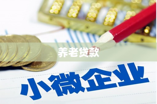 南州养老贷款