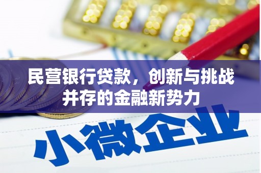 南州民营银行贷款，创新与挑战并存的金融新势力
