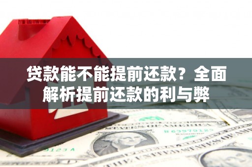 南州贷款能不能提前还款？全面解析提前还款的利与弊