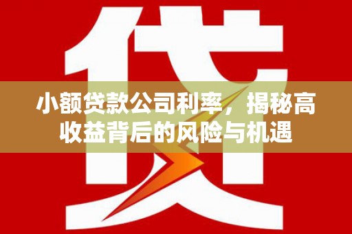南州小额贷款公司利率，揭秘高收益背后的风险与机遇