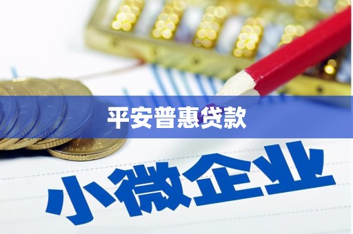 南州平安普惠贷款