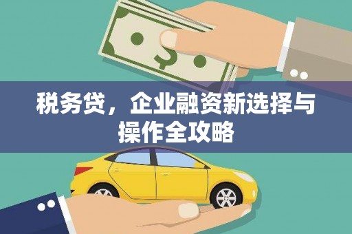南州税务贷，企业融资新选择与操作全攻略