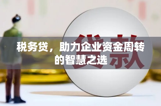 南州税务贷，助力企业资金周转的智慧之选