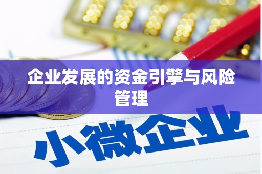 南州企业发展的资金引擎与风险管理