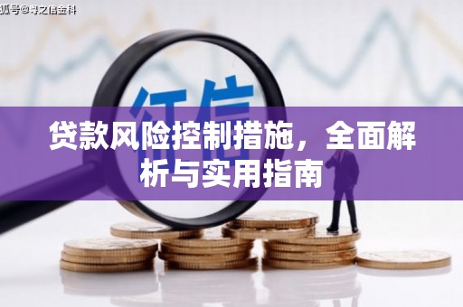 南州贷款风险控制措施，全面解析与实用指南
