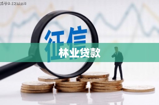 南州林业贷款