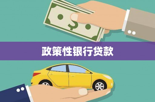 南州政策性银行贷款