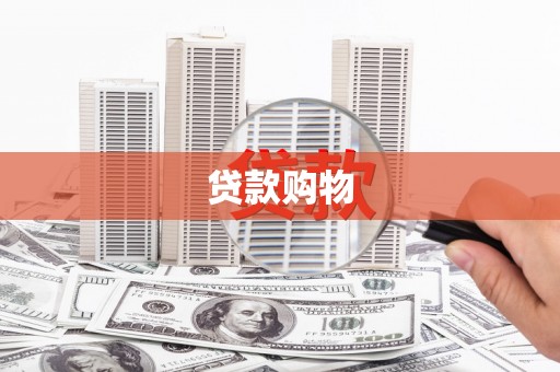 南州贷款购物