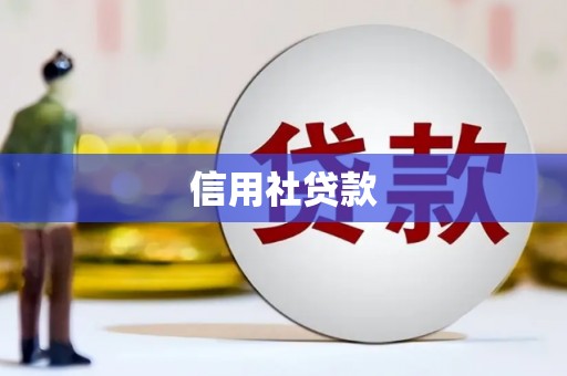 南州信用社贷款