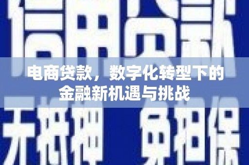 南州电商贷款，数字化转型下的金融新机遇与挑战