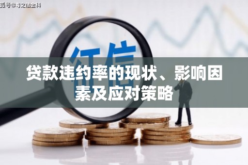 南州贷款违约率的现状、影响因素及应对策略