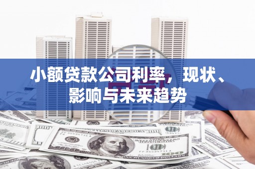 南州小额贷款公司利率，现状、影响与未来趋势
