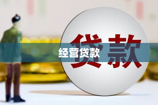 南州经营贷款