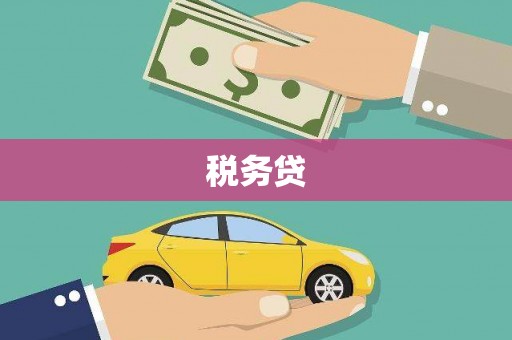 南州税务贷
