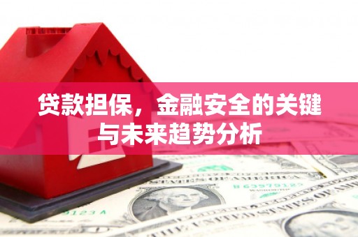 南州贷款担保，金融安全的关键与未来趋势分析