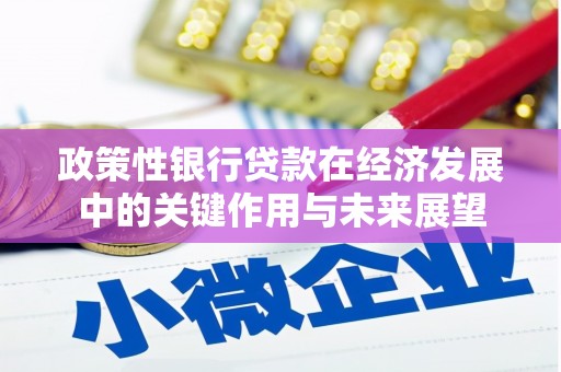 南州政策性银行贷款在经济发展中的关键作用与未来展望