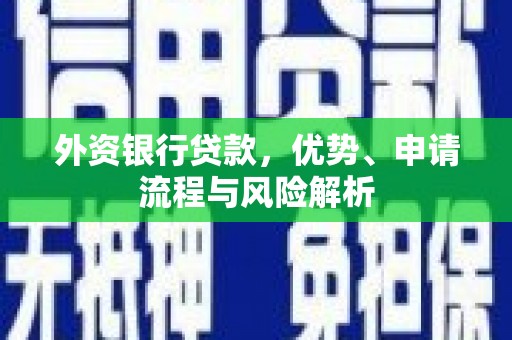 南州外资银行贷款，优势、申请流程与风险解析
