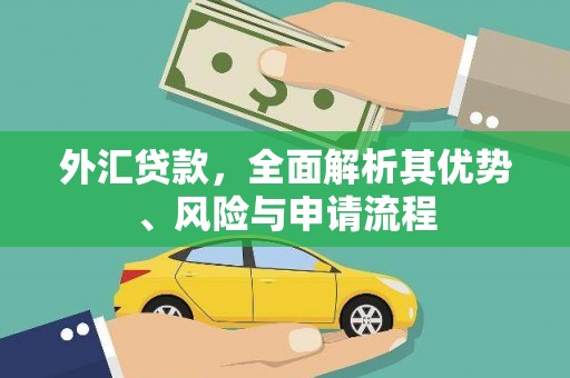 南州外汇贷款，全面解析其优势、风险与申请流程