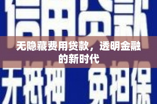 南州无隐藏费用贷款，透明金融的新时代