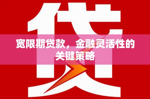 南州宽限期贷款，金融灵活性的关键策略