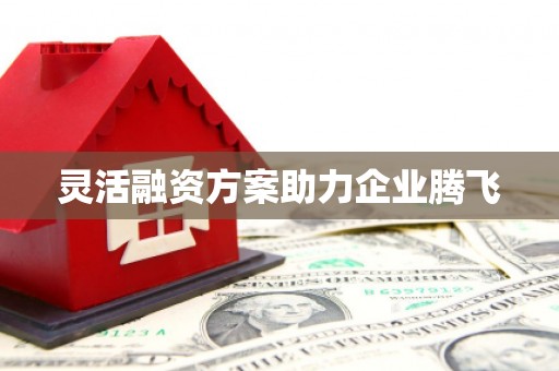 南州灵活融资方案助力企业腾飞