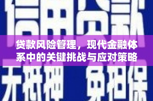 南州贷款风险管理，现代金融体系中的关键挑战与应对策略
