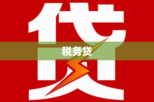 南州税务贷