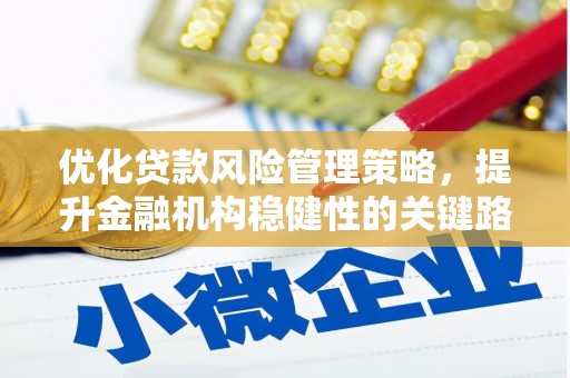 南州优化贷款风险管理策略，提升金融机构稳健性的关键路径