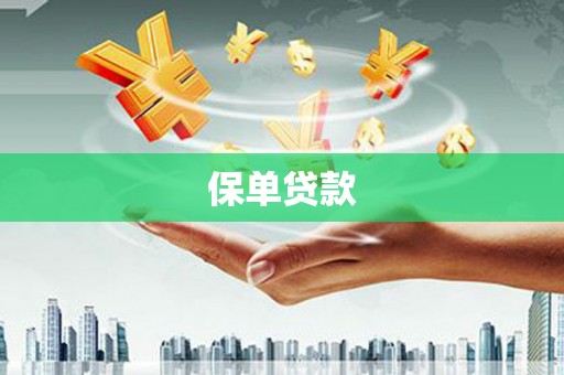南州保单贷款