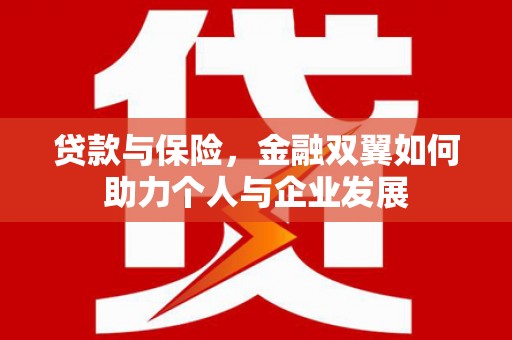 南州贷款与保险，金融双翼如何助力个人与企业发展