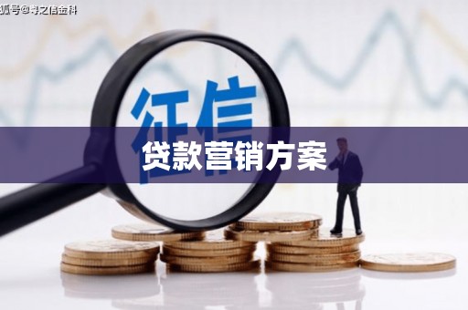 南州贷款营销方案