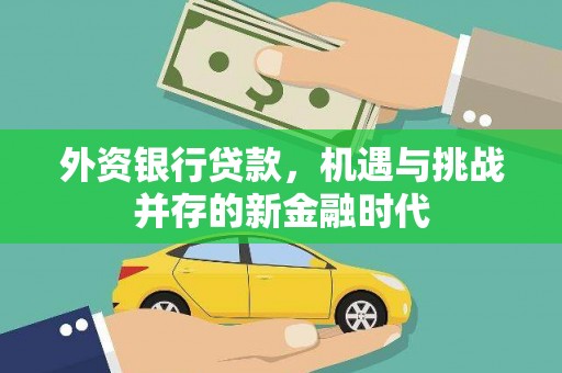 南州外资银行贷款，机遇与挑战并存的新金融时代