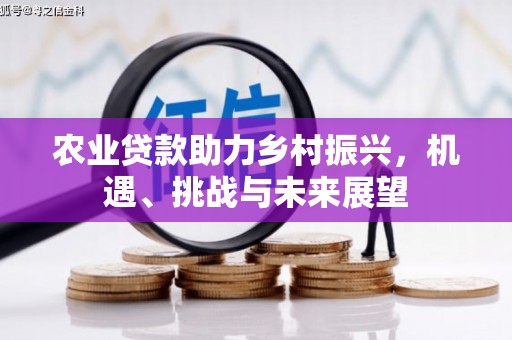 南州农业贷款助力乡村振兴，机遇、挑战与未来展望