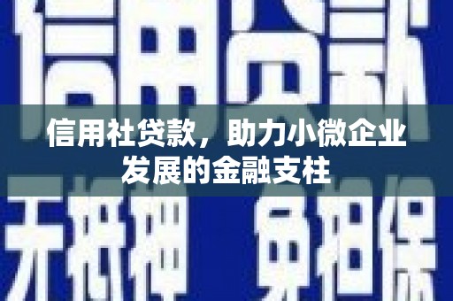 南州信用社贷款，助力小微企业发展的金融支柱