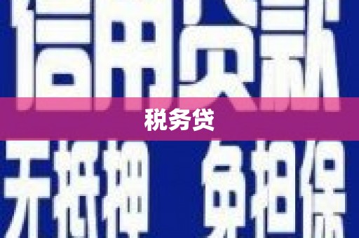 南州税务贷