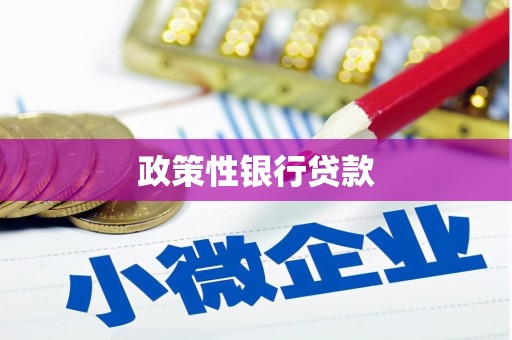 南州政策性银行贷款