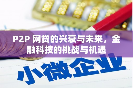 南州P2P 网贷的兴衰与未来，金融科技的挑战与机遇