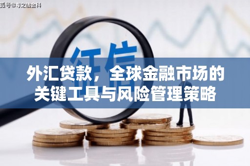 南州外汇贷款，全球金融市场的关键工具与风险管理策略