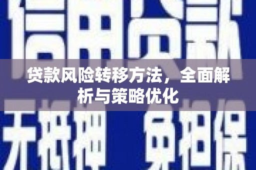 南州贷款风险转移方法，全面解析与策略优化