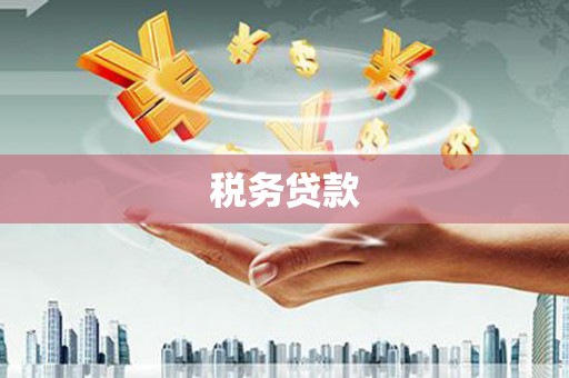 南州税务贷款