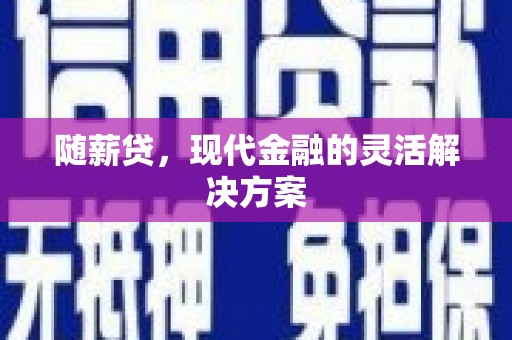 南州随薪贷，现代金融的灵活解决方案