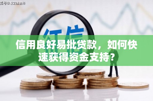 南州信用良好易批贷款，如何快速获得资金支持？