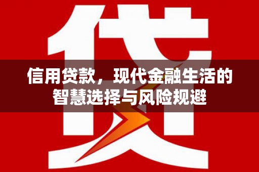 南州信用贷款，现代金融生活的智慧选择与风险规避