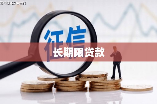 南州长期限贷款