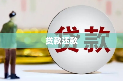 南州贷款还款